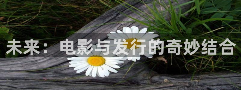 四川亿万28科技有限公司招聘：未来：电影与发行的奇妙结合