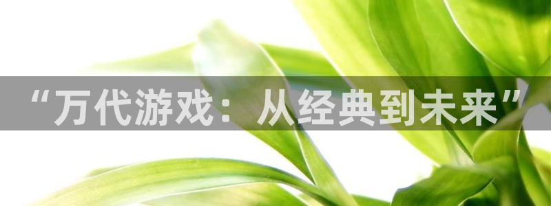 亿万28官网官网注册账号怎么注册：“万代游戏：从经典到未来”