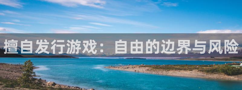 法国亿万28官网：擅自发行游戏：自由的边界与风险