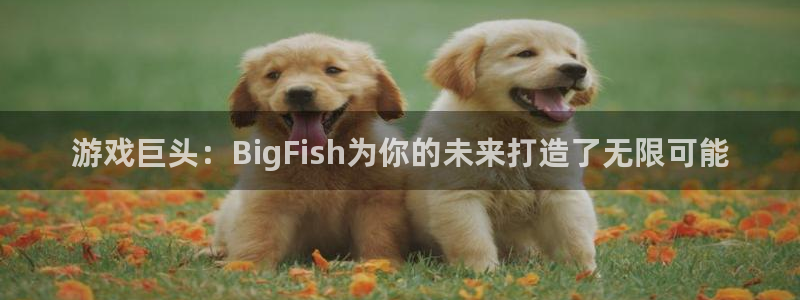 亿万28官网平台怎么样：游戏巨头：BigFish为你的未来打造了无限可能
