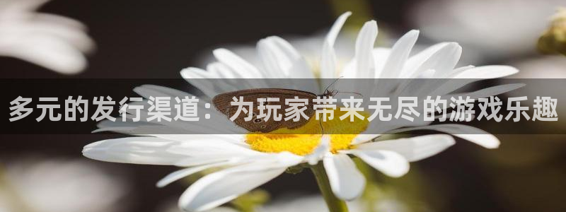 lvnces亿万28衣服价格：多元的发行渠道：为玩家带来无尽的游戏乐趣