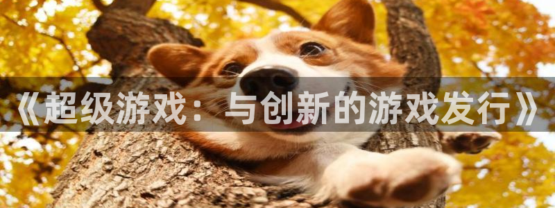 亿万28娱乐测速官网：《超级游戏：与创新的游戏发行》