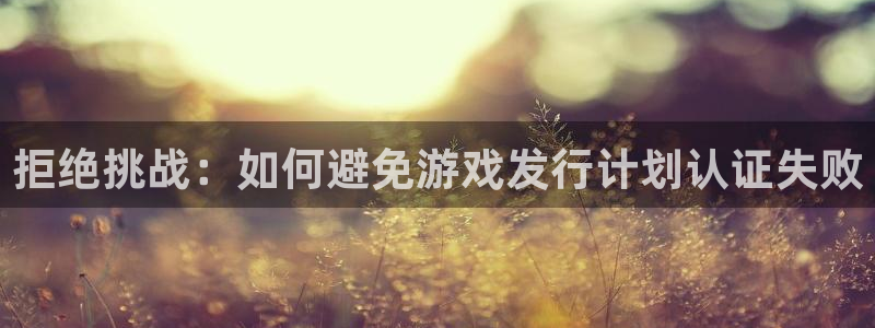 亿万28酒庄：拒绝挑战：如何避免游戏发行计划认证失败