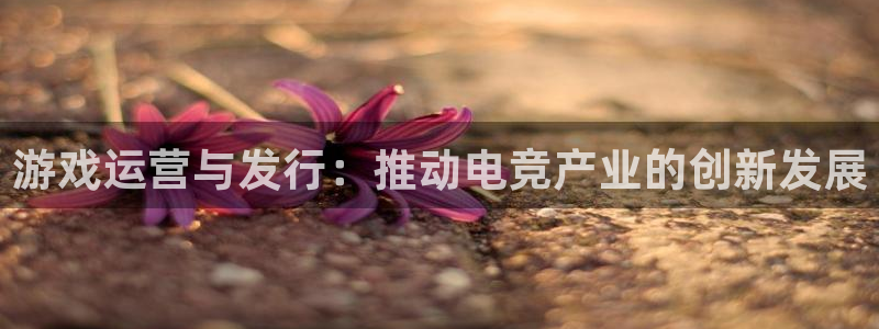 亿万28电子科技：游戏运营与发行：推动电竞产业的创新发展