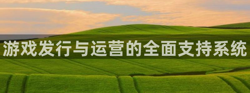 亿万28官网登录注册账号是什么：游戏发行与运营的全面支持系统