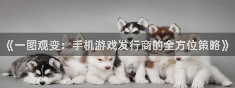 亿万28技术有限公司官网