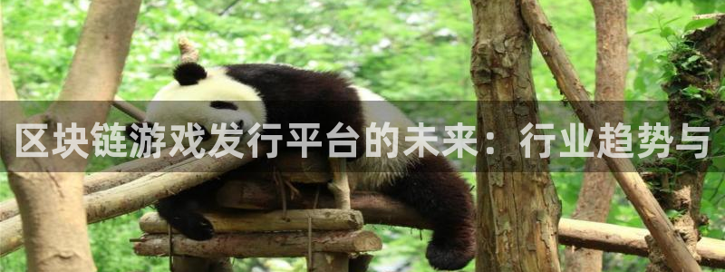 亿万28电子商务有限公司