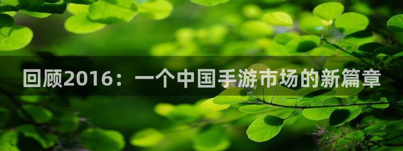 亿万28子招聘