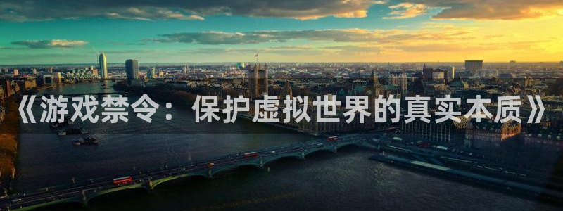 亿万28的寓意：《游戏禁令：保护虚拟世界的真实本质》