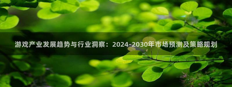 亿万28官网游戏怎么注册：游戏产业发展趋势与行业洞察：2024-2030年市场预测及策略规划