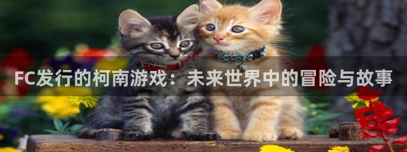 亿万28子文化游戏